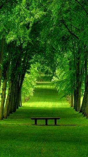 Awesome View 2.jpg Mixed